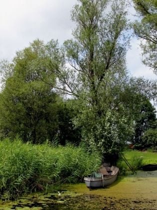 Produktbild: CALVENDO Puzzle Boot am Ufer der Havel | 1000 Teile Lege-Gr&ouml;&szlig;e 64x48cm Foto-Puzzle f&uuml;r gl&uuml;ckliche Stunden