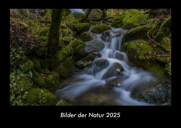 Produktbild: Bilder der Natur 2025 Fotokalender DIN A3