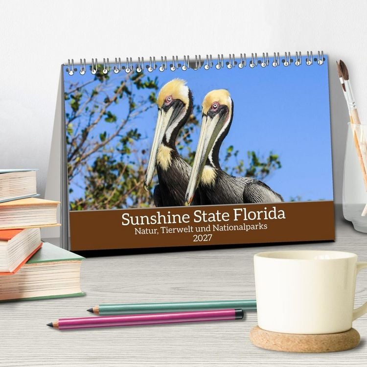 Produktbild: Sunshine State Florida Natur, Tierwelt und Nationalparks (Tischkalender 2027 DIN A5 quer), CALVENDO Monatskalender