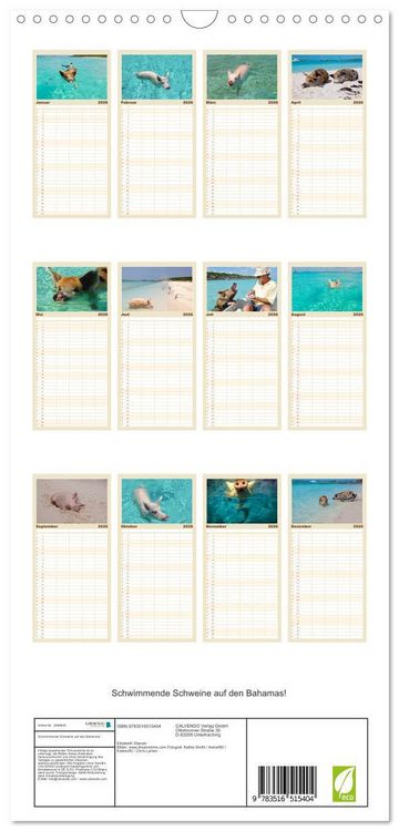 Produktbild: Familienplaner 2026 - Schwimmende Schweine auf den Bahamas! mit 5 Spalten (Wandkalender, 21 x 45 cm) CALVENDO
