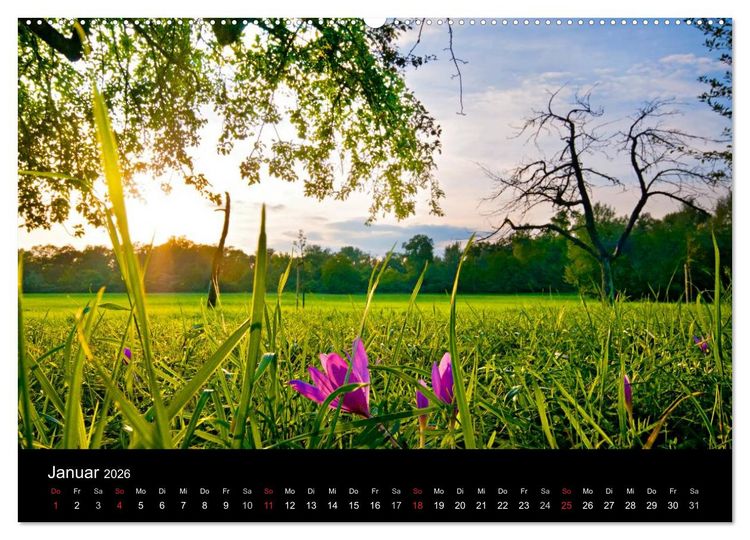 Produktbild: Mannheimer Waldpark (Wandkalender 2026 DIN A2 quer), CALVENDO Monatskalender