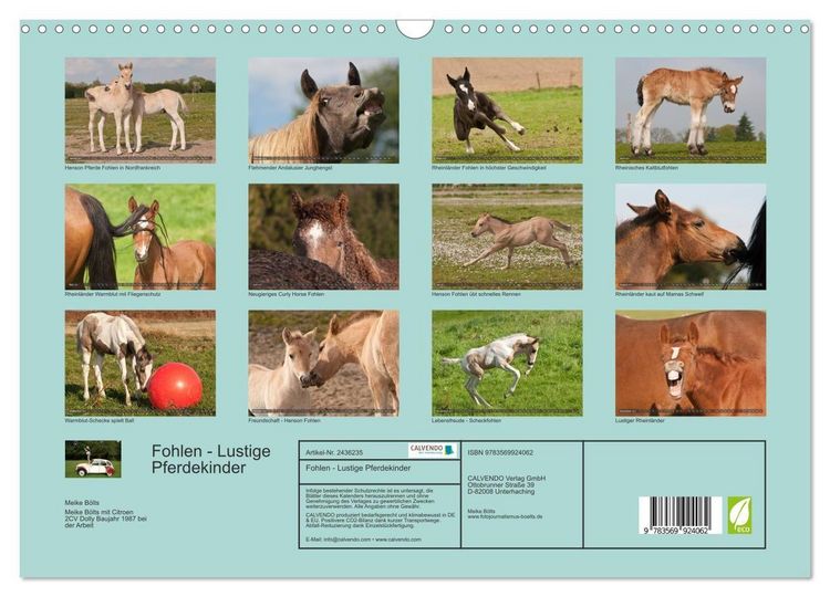 Produktbild: Fohlen - Lustige Pferdekinder (Wandkalender 2027 DIN A3 quer), CALVENDO Monatskalender