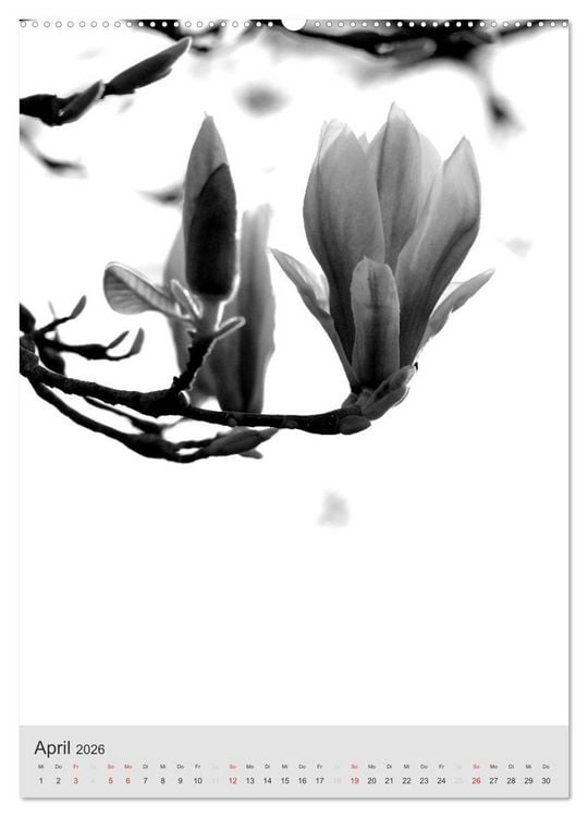 Produktbild: Monochrome Bl&uuml;ten - In Schwarz-Wei&szlig; Bildern durch das Jahr (hochwertiger Premium Wandkalender 2026 DIN A2 hoch), Kunstdruck in Hochglanz