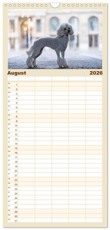 Produktbild: Familienplaner 2026 - Hunde in der City - Unterwegs in Hamburg mit 5 Spalten (Wandkalender, 21 x 45 cm) CALVENDO