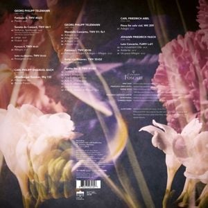 Produktbild: Telemandolin