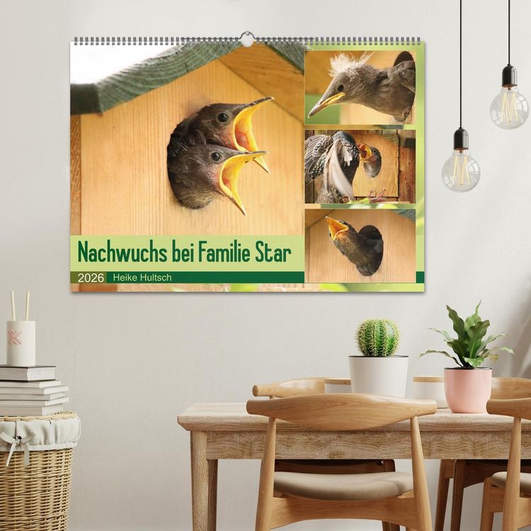 Produktbild: Nachwuchs bei Familie Star (Wandkalender 2026 DIN A2 quer), CALVENDO Monatskalender