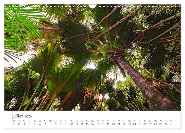 Produktbild: Paysages des Seychelles (Calendrier mural 2026 DIN A3 vertical), CALVENDO calendrier mensuel