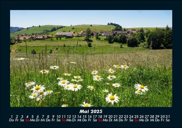 Produktbild: Blumenkalender 2025 Fotokalender DIN A5