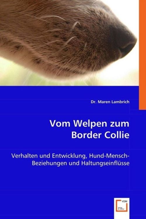 Produktbild: Lambrich, M: Vom Welpen zum Border Collie