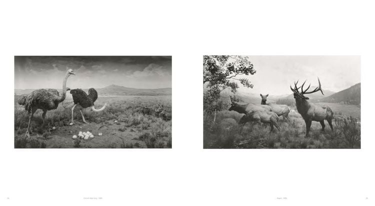 Produktbild: Hiroshi Sugimoto