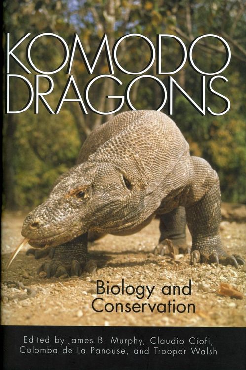 Produktbild: Komodo Dragons