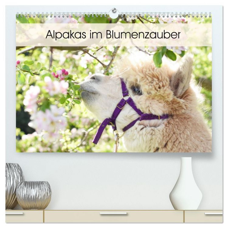 Produktbild: Alpakas im Blumenzauber (hochwertiger Premium Wandkalender 2026 DIN A2 quer), Kunstdruck in Hochglanz