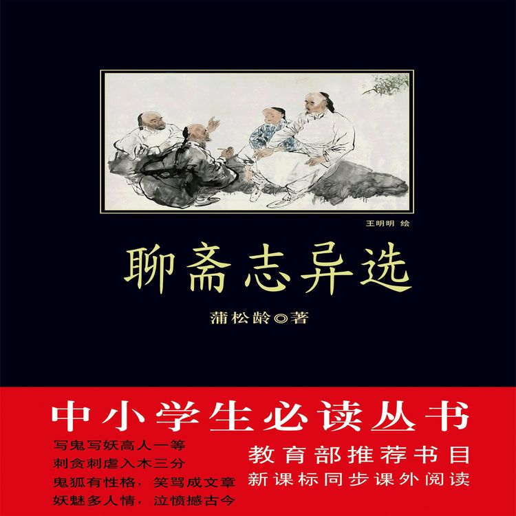 Produktbild: 聊斋志异选