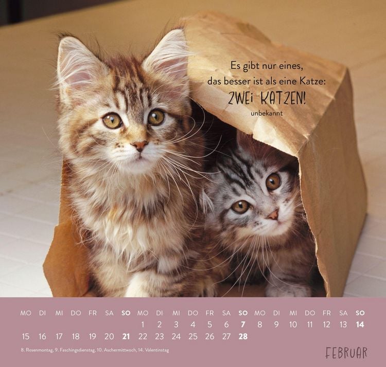 Produktbild: Wandkalender 2027: F&uuml;r Katzenfreunde