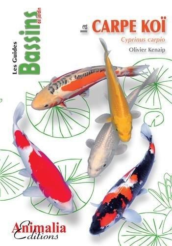 Produktbild: Carpe koi cyprinus carpio