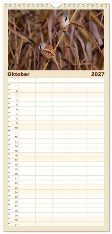 Produktbild: Familienplaner 2027 - V&ouml;gel ganz nah mit 5 Spalten (Wandkalender, 21 x 45 cm) CALVENDO
