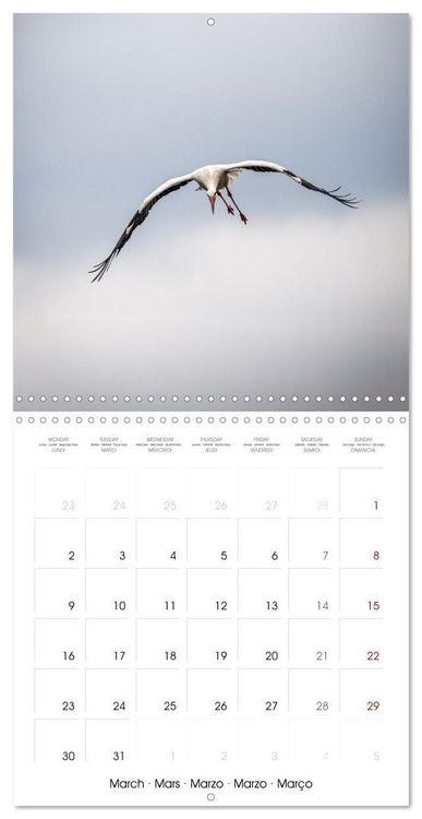 Produktbild: Whispers of Wings (Wall Calendar 2026 12 &times; 12 Inch) CALVENDO 12 Month Wall Calendar