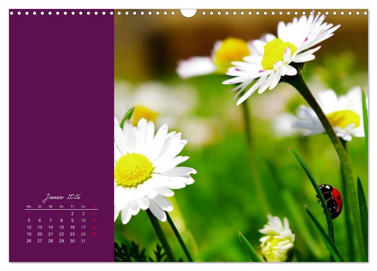 Produktbild: Momente des Gl&uuml;cks (Wandkalender 2026 DIN A3 quer), CALVENDO Monatskalender