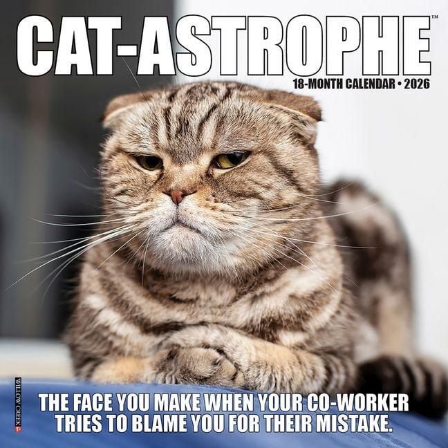 Produktbild: Cat-Astrophe 2026 Mini Wall Calendar