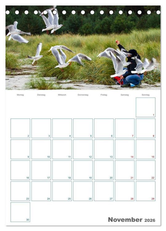 Produktbild: Ostseebad Prerow - Dar&szlig;er Momente - Terminplaner (Tischkalender 2026 DIN A5 hoch), CALVENDO Monatskalender
