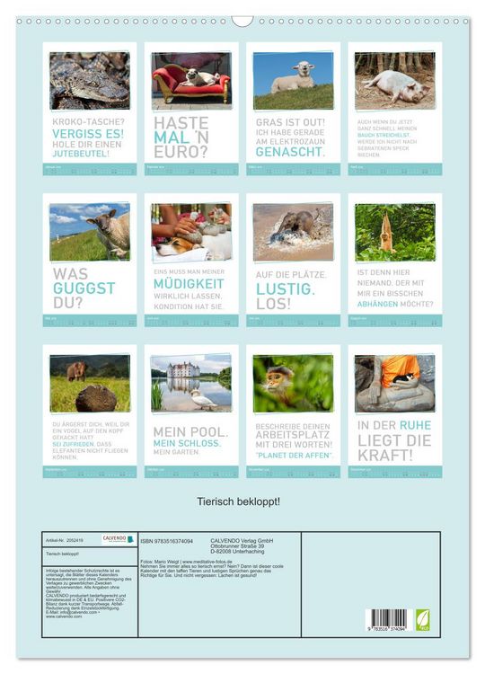 Produktbild: Tierisch bekloppt! (Wandkalender 2026 DIN A2 hoch), CALVENDO Monatskalender