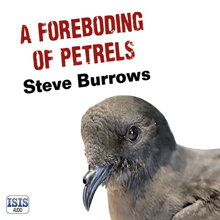 Produktbild: A Foreboding of Petrels