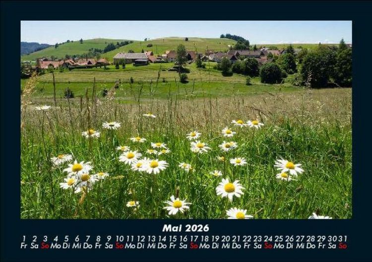 Produktbild: Blumentr&auml;ume 2026 Fotokalender DIN A5