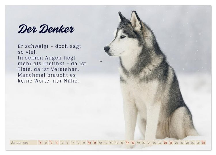 Produktbild: Hunde mit Charakter (Tischkalender 2026 DIN A5 quer), CALVENDO Monatskalender