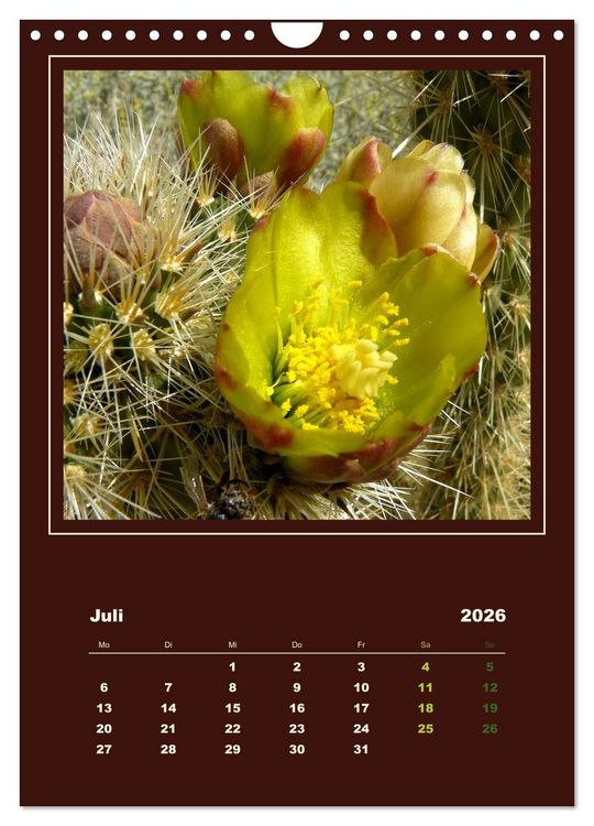 Produktbild: Wilde Kakteen Amerikas (Wandkalender 2026 DIN A4 hoch), CALVENDO Monatskalender