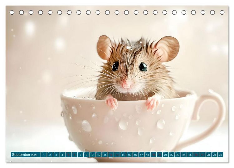 Produktbild: Plitsch, Platsch, tierisch nass (Tischkalender 2026 DIN A5 quer), CALVENDO Monatskalender