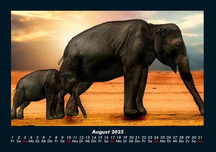 Produktbild: Der Elefantenkalender 2025 Fotokalender DIN A4