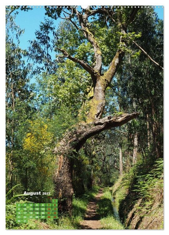 Produktbild: Levadas auf Madeira. Wildromantische Wanderwege (Wandkalender 2027 DIN A2 hoch), CALVENDO Monatskalender