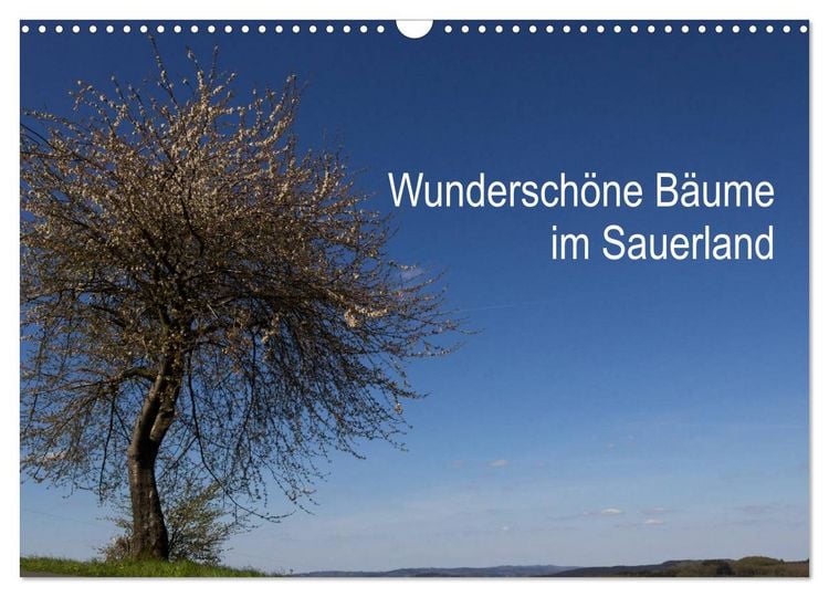 Produktbild: Wundersch&ouml;ne B&auml;ume im Sauerland (Wandkalender 2026 DIN A3 quer), CALVENDO Monatskalender