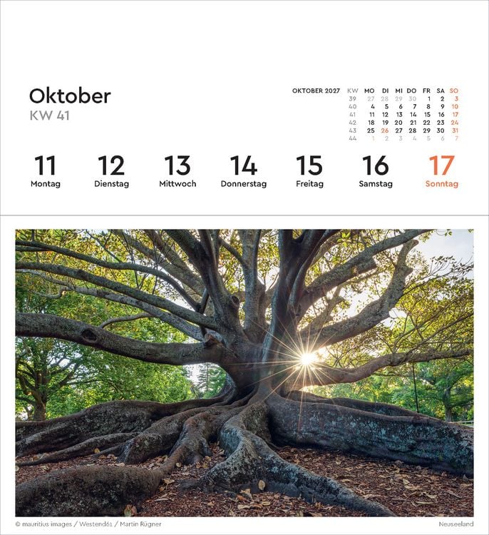 Produktbild: Alte B&auml;ume - KUNTH Postkartenkalender 2027