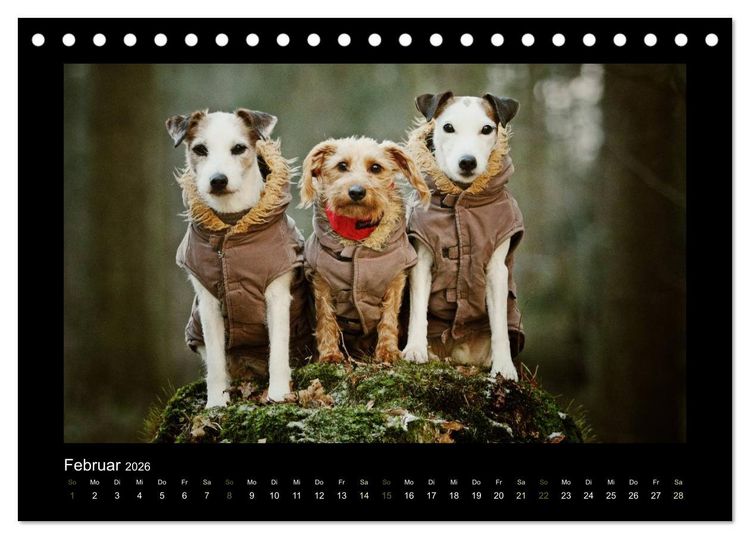 Produktbild: Die Parsons (Tischkalender 2026 DIN A5 quer), CALVENDO Monatskalender