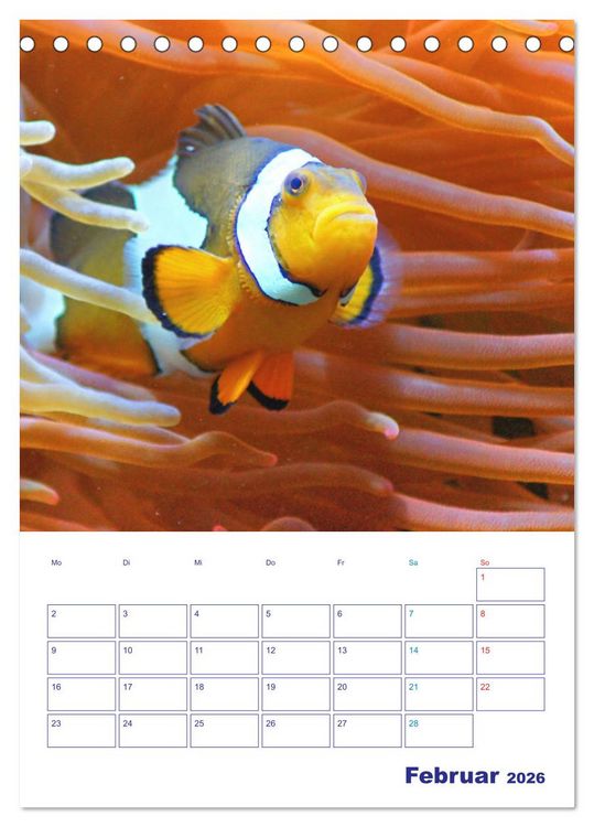 Produktbild: Bunte Meereswelten (Tischkalender 2026 DIN A5 hoch), CALVENDO Monatskalender