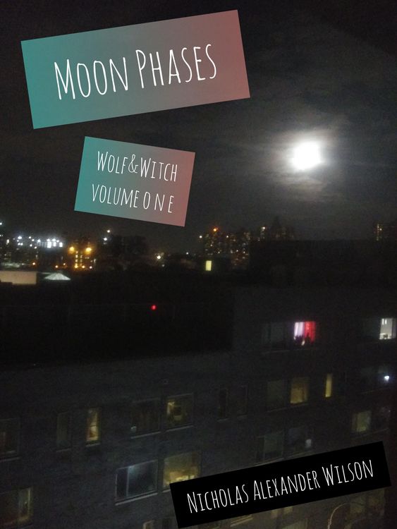 Produktbild: Moon Phases (Wolf&Witch, #1)