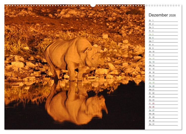 Produktbild: Nash&ouml;rner - Sanfte Riesen (hochwertiger Premium Wandkalender 2026 DIN A2 quer), Kunstdruck in Hochglanz