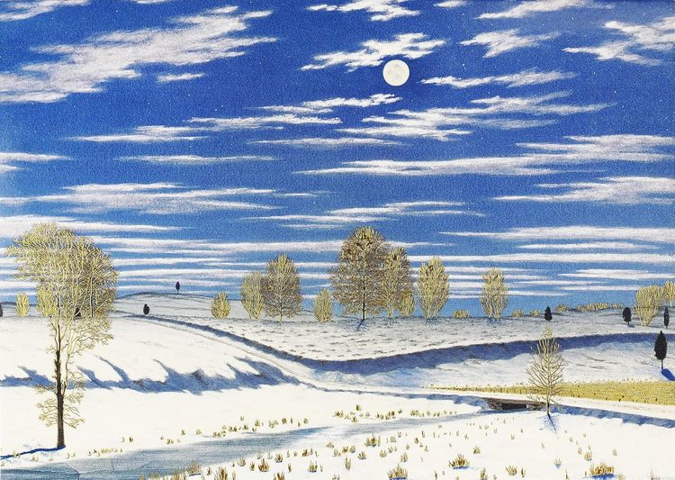 Produktbild: Winter Scene in Moonlight Deluxe Boxed Holiday Cards
