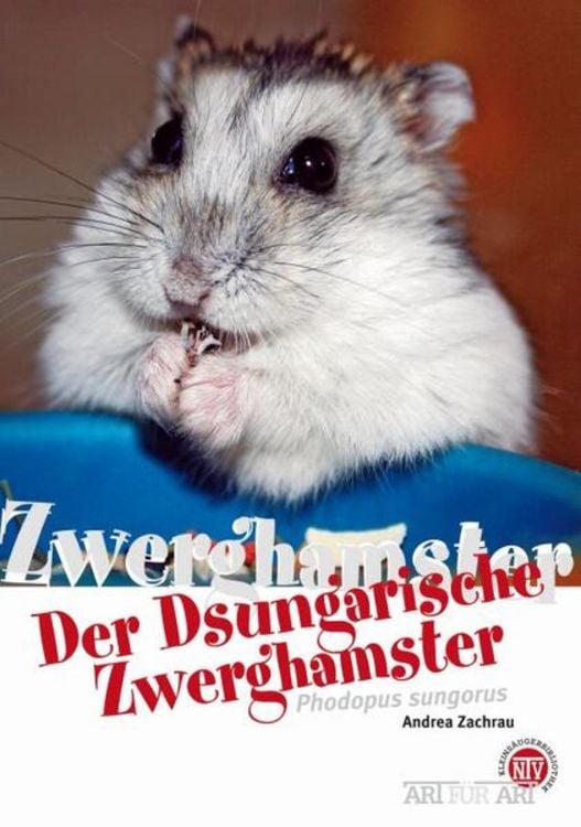 Produktbild: Der Dsungarische Zwerghamster