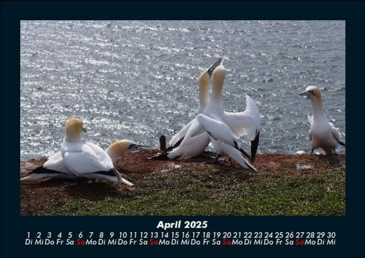 Produktbild: Seeblick 2025 Fotokalender DIN A5