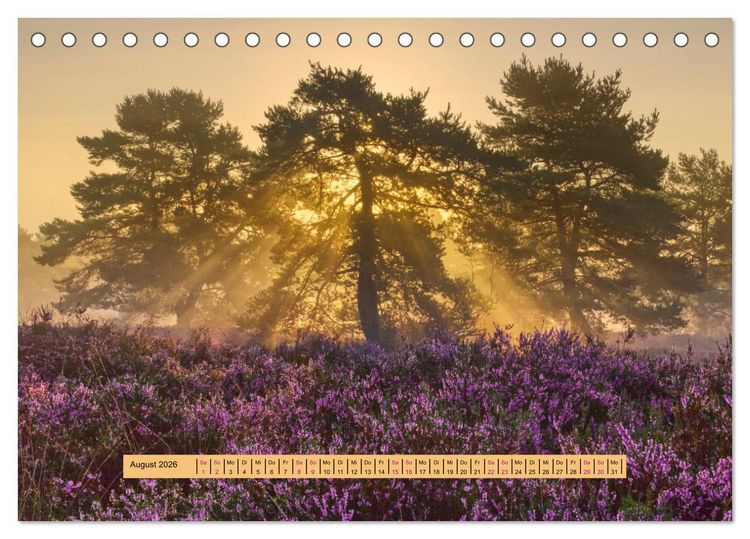 Produktbild: Magischer Pf&auml;lzer Wald (Tischkalender 2026 DIN A5 quer), CALVENDO Monatskalender
