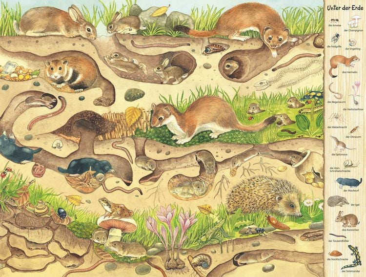 Produktbild: Riesen-Wimmelbuch: Das Riesen-Natur-Wimmelbuch