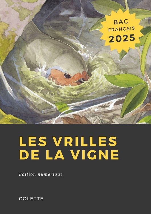 Produktbild: Les vrilles de la vigne