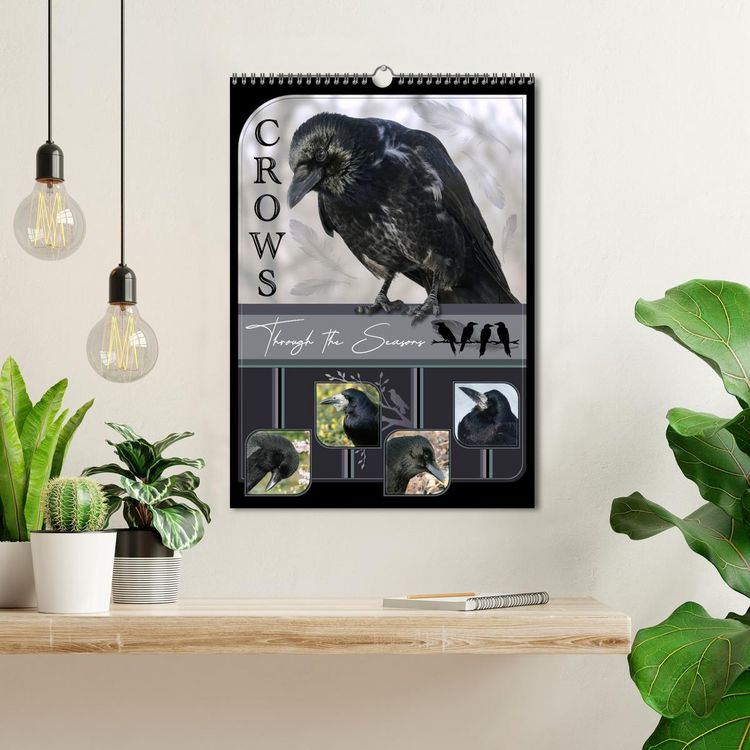 Produktbild: Crows - Through the Seasons (Wall Calendar 2026 DIN A3 portrait), CALVENDO 12 Month Wall Calendar