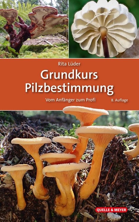 Produktbild: Grundkurs Pilzbestimmung