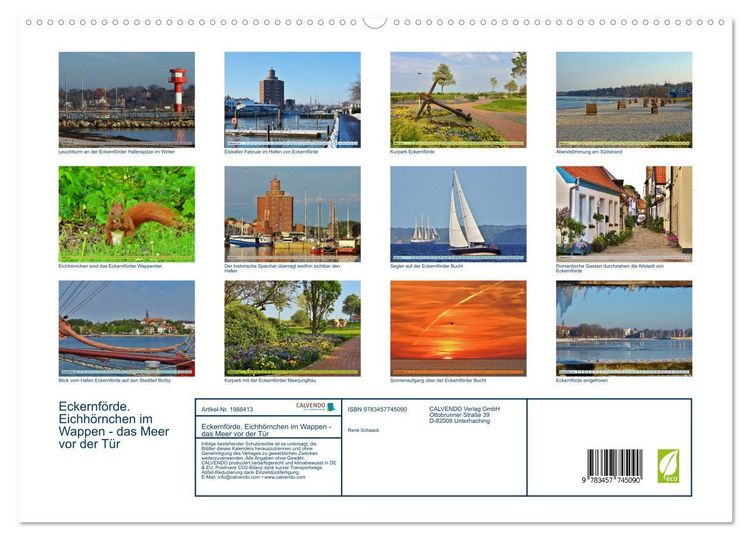 Produktbild: Eckernf&ouml;rde. Eichh&ouml;rnchen im Wappen - das Meer vor der T&uuml;r (Wandkalender 2026 DIN A2 quer), CALVENDO Monatskalender