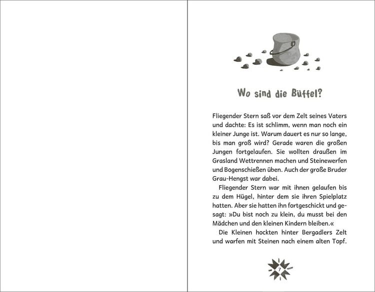 Produktbild: Fliegender Stern