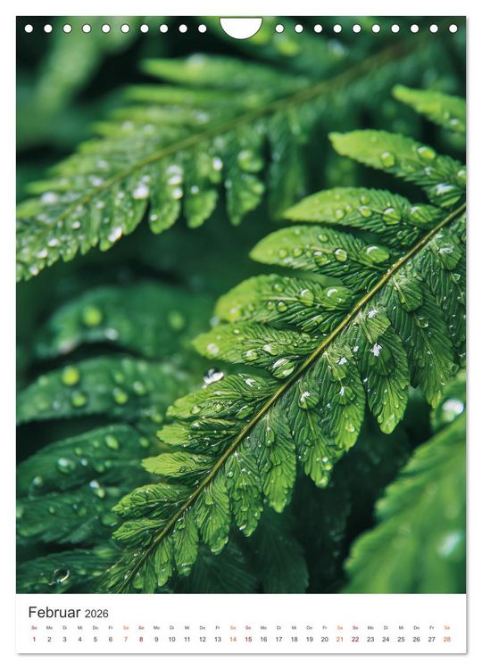 Produktbild: Seelenzeit Natur (Wandkalender 2026 DIN A4 hoch), CALVENDO Monatskalender