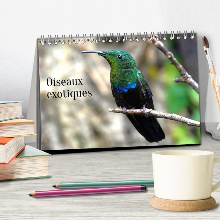 Produktbild: Oiseaux exotiques (Calendrier de bureau 2026 DIN A5 vertical), CALVENDO calendrier mensuel